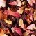 Carcadet Provence', fruit infusion, box of 100 g