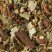  Tisane du Berger, boîte 40g 