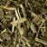 Jaune Lemon, box of 25 Cristal® sachets