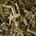 Jaune Lemon, 24 sachets Cristal® enveloppés
