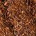 Rooibos Cederberg, 24 sachets Cristal® enveloppés