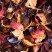 Fruit infusion- Carcadet Samba, box of 24 enveloped Cristal® sachets
