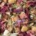BTE 24 SACHETS SUREMB TISANE DU ROY