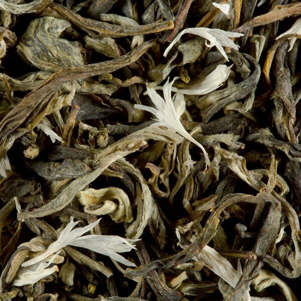 White tea - BLANC MYRTILLE