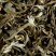 White tea - BLANC MYRTILLE