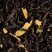 Pomme d'Amour, box of 25 Cristal® sachets