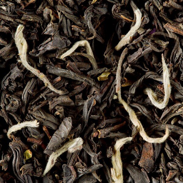 Black tea - Earl Grey Pointes Blanches