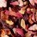 Fruit infusion - Carcadet Provence