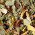 Herbal tea - Tisane de la Reyne