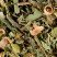 Tisane du Berger