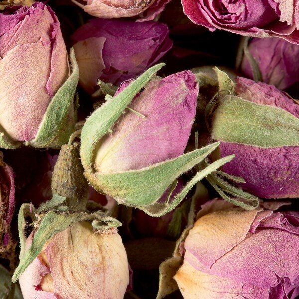 Tisane - Boutons de roses