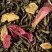 Green tea - Thé des Riads