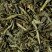 Thé du Japon - Sencha Fukuyu