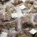 Tisane du Roy, 25 sachets Cristal ®