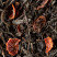 Black tea - Caramel