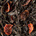 Caramel, box of 24 enveloped Cristal® sachets