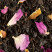 7 Parfums N°17, boîte de 100 g
