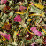 TISANE NUIT À VERSAILLES