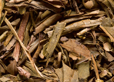 Thé du Japon - Houjicha