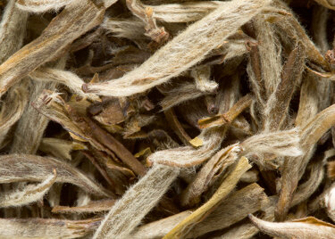 Tea from China - Jasmin Yin Zhen