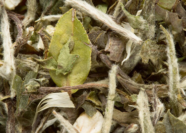White tea - Great Earl Grey