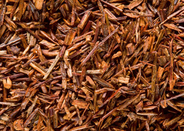 Rooibos Cederberg