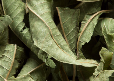 Herbal tea - Verveine