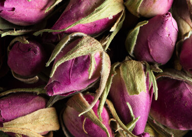 Herbal tea - Boutons de roses