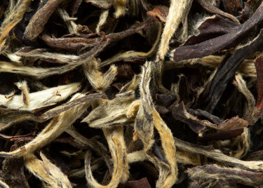 Thé d'Inde - DARJEELING OOLONG PHUGURI