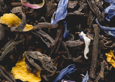 Thé glacé jardin bleu - 6 sachets