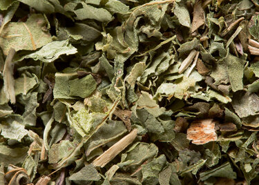 Verveine Menthe, 24 sachets Cristal® suremballés