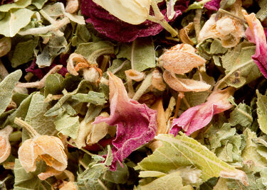 BTE 24 SACHETS SUREMB TISANE BALI
