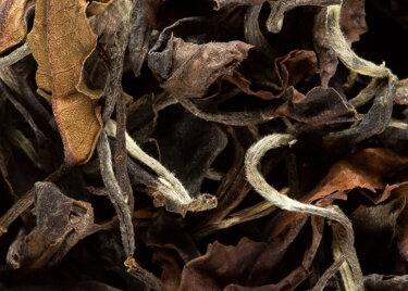 White tea - TORO BLANCO