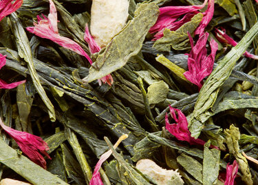 Thé glacé MISS DAMMANN, Boîte de 6 sachets