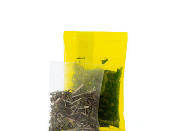 Happy Green - box of 6 sachets for iced tea infusion