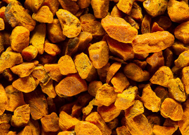 CURCUMA