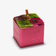 "PASSIONNÉMENT" gift set - pink holder of 32 assorted infusions bags