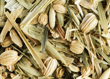 Tisane - CEREAL LOVER CARAMEL