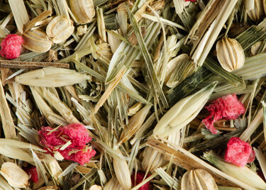 Tisane - CEREAL LOVER FRAMBOISE