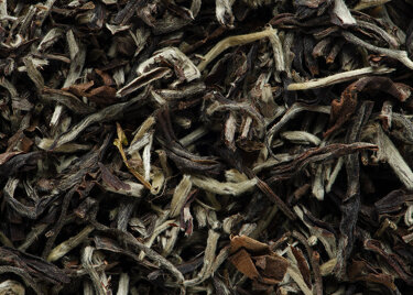 Thé d'Inde - SINGBULLI DARJEELING 2nd flush T.G.F.O.P.