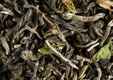 Tea from India - Darjeeling 1st flush PHUGURI F.T.G.F.O.P.